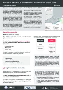 NER_Factsheet_Evaluation Cash Toumour_Juillet 2019