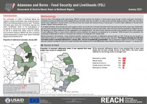 Hard to Reach Assessment in Northeast Nigeria,  Food Security and Livelihood Factsheet, January 2021