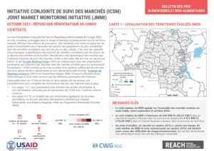 REACH RDC JMMI Factsheet Octobre 2023