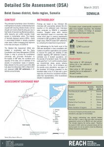 REACH SOM Factsheet DSA Belet Xaawo March 2021