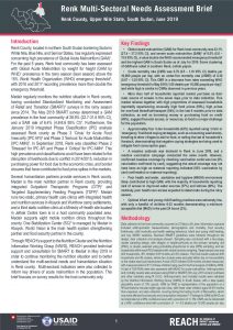 SSD_Brief_Renk MSNA_June 2019