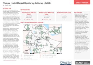 REACH Ethiopia Joint Market Monitoring Initiative (2024-03-04 - 2024-03-13)
