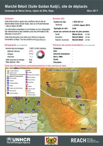NER_HCR_Factsheet_Profil Site de Déplacés_Commune de Maine-Soroa_Marché à bétail_Mars 2017