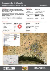 NER_Factsheet_Profil Site de Déplacés de Boudoum_Septembre 2017