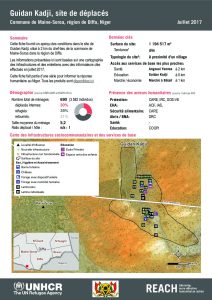 NER_HCR_Factsheet_Profil Site de Déplacés de Guidan Kadji_Juillet 2017