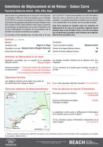 NER_Factsheet_Evaluation Protection, Intentions de Déplacement et de Retour, Sabon Carré, Déplacés Internes_Avril 2017