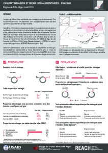 NER_Factsheet_Evaluation ABNA_N'Guigmi_Août 2018