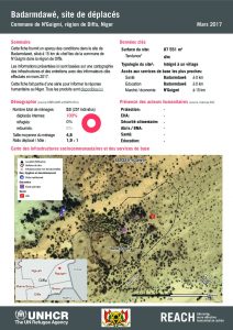 NER_HCR_Factsheet_Profil Site de Déplacés_Commune de N'Guigmi_Mars 2017