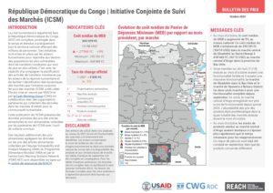 REACH_RDC_ICSM_Factsheet Octobre 2024