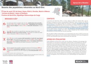 REACH - RDC - HSM - Besoins des populations retournées - Territoire de Masisi, Lubero et Rutshuru, Nord Kivu - Juin 2025