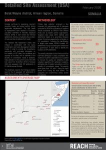 Detailed Site Assessment, Belet Weyne - February 2020