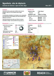 NER_HCR_Factsheet_Profil Site de Déplacés_Commune de Chetimari_Nguelkolo_Mars 2017