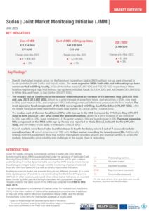REACH Sudan, JMMI Factsheet, June 2025