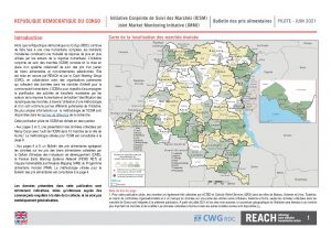 REACH RDC ICSM Factsheet Juin2021