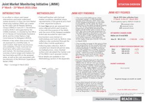 REACH LBY Situation overview JMMI March 2023