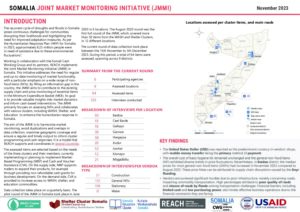 REACH_SOM_Factsheet_JMMI_2023_November_Q4