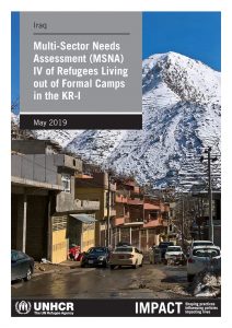 IRQ_Report_MSNA IV_KRI_May 2019