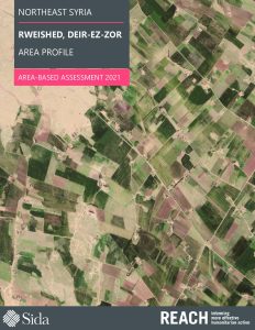 REACH_SYR_NES_Rweished Area-Based Assessment Profile_2021