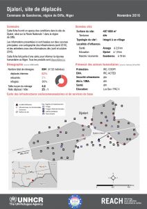 NER_Factsheet_Displacement Site Djalori_Novembre2016
