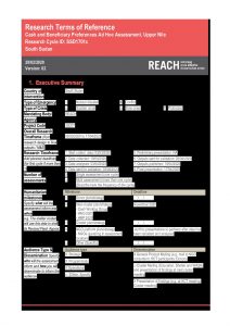 REACH SSD - Terms of Reference - Ad Hoc Assessment Markets and AAP - March 2020