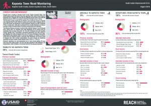 SSD_Factsheet_Kapoeta Town Road Monitoring_August 2018