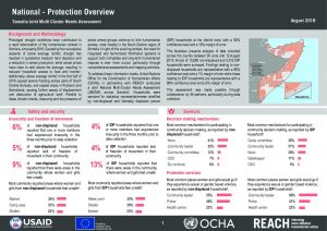 SOM_Factsheet_JMCNA_National_Protection_August 2018