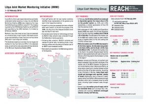 LBY_Situation_Overview_Joint Market Monitoring Initiative (JMMI)_February 2019