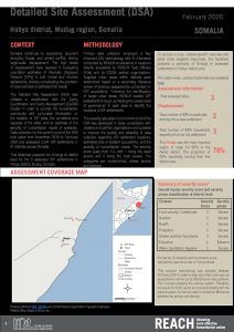 Detailed Site Assessment, Hobyo - February 2020