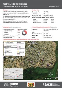NER_Factsheet_Profil Site de Déplacés de Festival_Septembre 2017