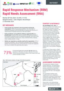 REACH Mozambique RRM Rapid Needs Assessment Factsheet – Ntamba IDP Site, Nangade District (21/11/24)