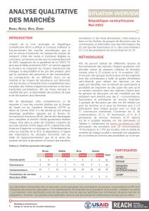 REACH RCA Analyse Qualitative Des Marchés