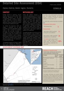 Detailed Site Assessment, Zeylac - February 2020