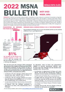 REACH Bulletin régional Diffa MSNA 2022 Niger