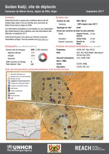 NER_Factsheet_Profil Site de Déplacés de Guidan Kadji_Septembre 2017