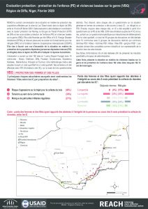 Evaluation protection : fiche d'information sur la protection de l'enfance et les violences basées sur le genre, région de Diffa, Niger - Février 2020