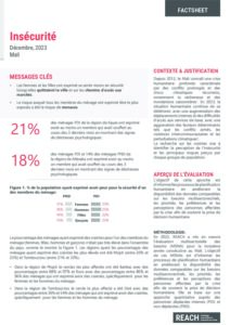 REACH_MLI_MSNA INSECURITE Factsheet_2023