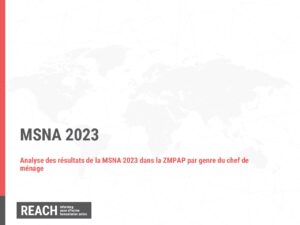 REACH Haiti MSNA 2023 Presentation Genre