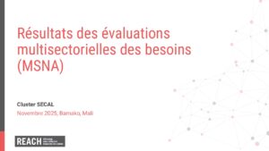 REACH Mali MSNA 2025 Présentation SECAL