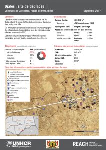 NER_Factsheet_Profil Site de Déplacés de Djalori_Septembre 2017
