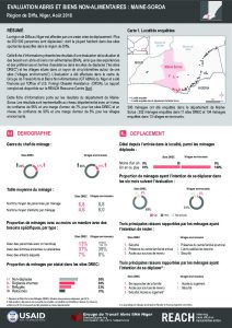 NER_Factsheet_Evaluation ABNA_Maine-Soroa_Août 2018