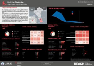 SSD_Factsheet_Nyal Port Monitoring_August 2017