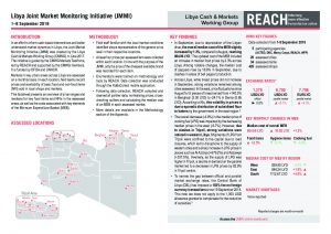 LYB_SO_Joint Market Monitoring Initiative (JMMI)_September 2018