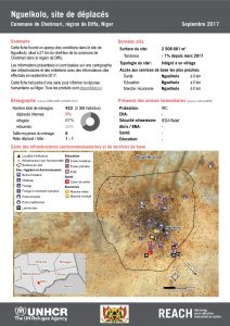 NER_Factsheet_Profil Site de Déplacés de Nguelkolo_Septembre 2017