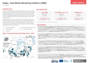 REACH Sudan, JMMI, factsheet, 02-11 July 2026