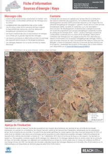 REACH Kaya | Sources d'énergie des ménages