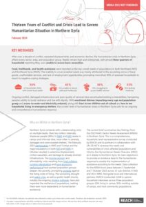 REACH Syria, MSNA 2023 Key Findings Brief