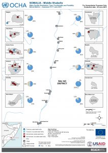 REACH_SOM_Map_MShabelleBaladDistrict_WaterFacilities_June2015