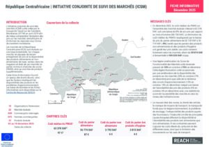 REACH RCA - JMMI - Fiche Informative - Décembre 2025