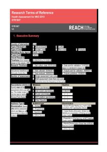SYR_Injury_and_Disability_Assessment_ToR