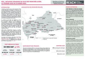 REACH RCA Fiche informative Suivi des marchés Février 2022